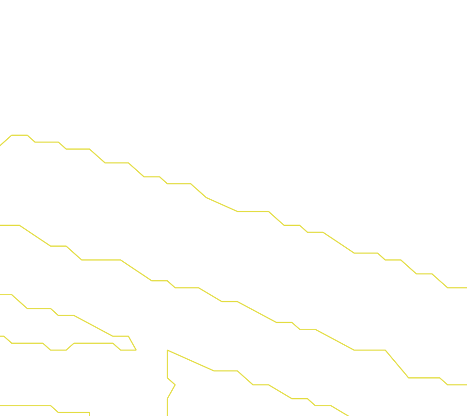 Daksegment ingezoomd met contourlijnen en structuurweergave