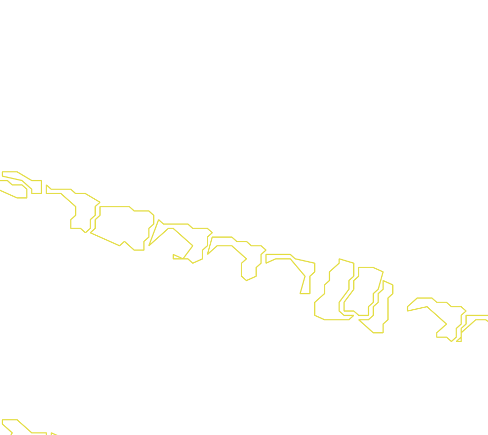 Daksegment met contourlijnen en structuurweergave