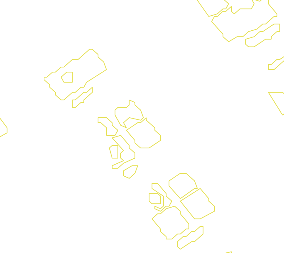 Daksegment met contourlijnen en structuurweergave