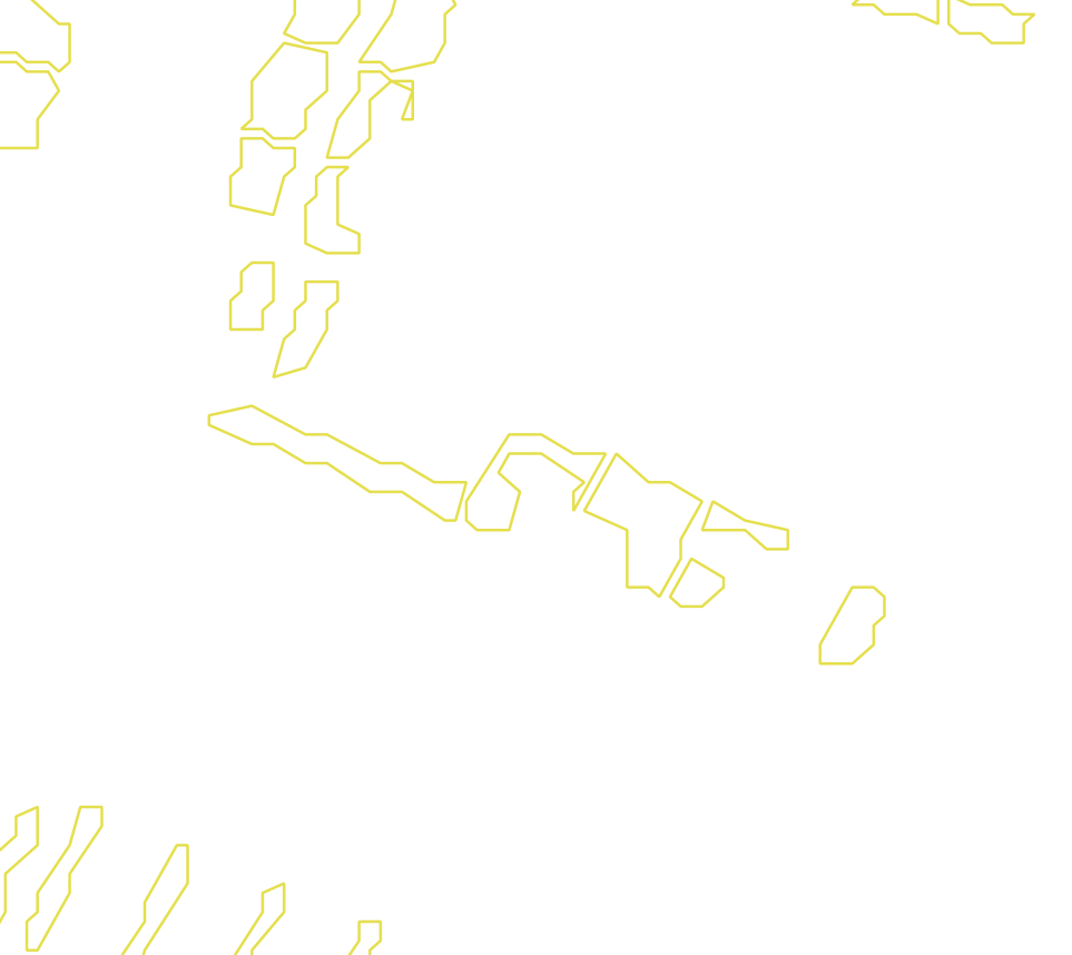 Daksegment met contourlijnen en structuurweergave
