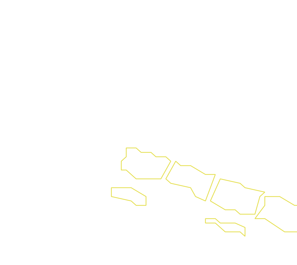 Daksegment ingezoomd met contourlijnen en structuurweergave