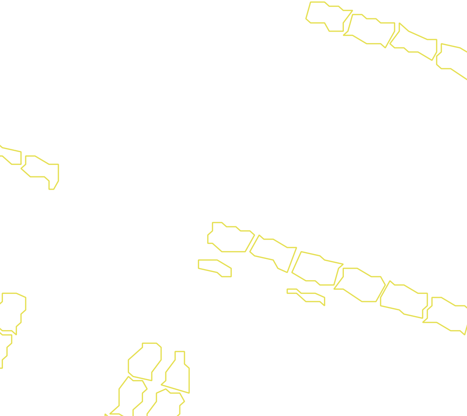 Daksegment met contourlijnen en structuurweergave
