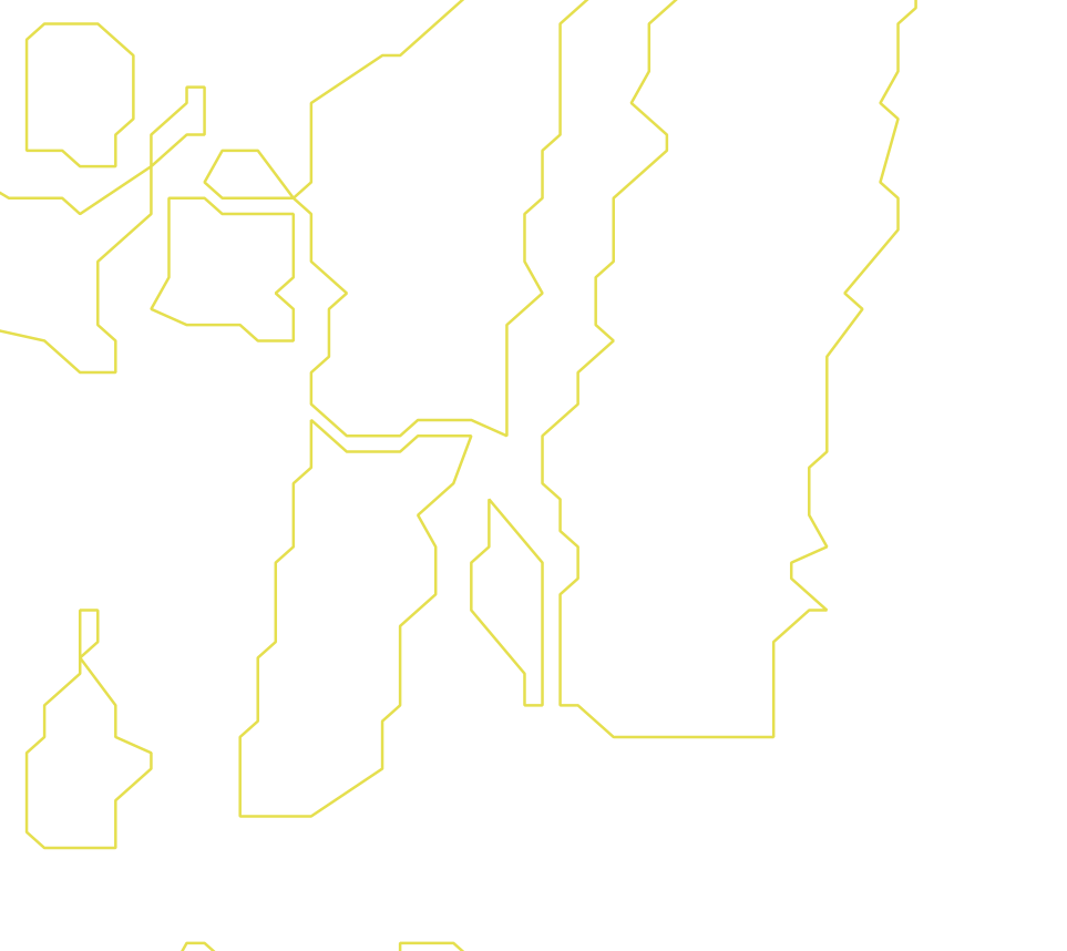 Daksegment ingezoomd met contourlijnen en structuurweergave