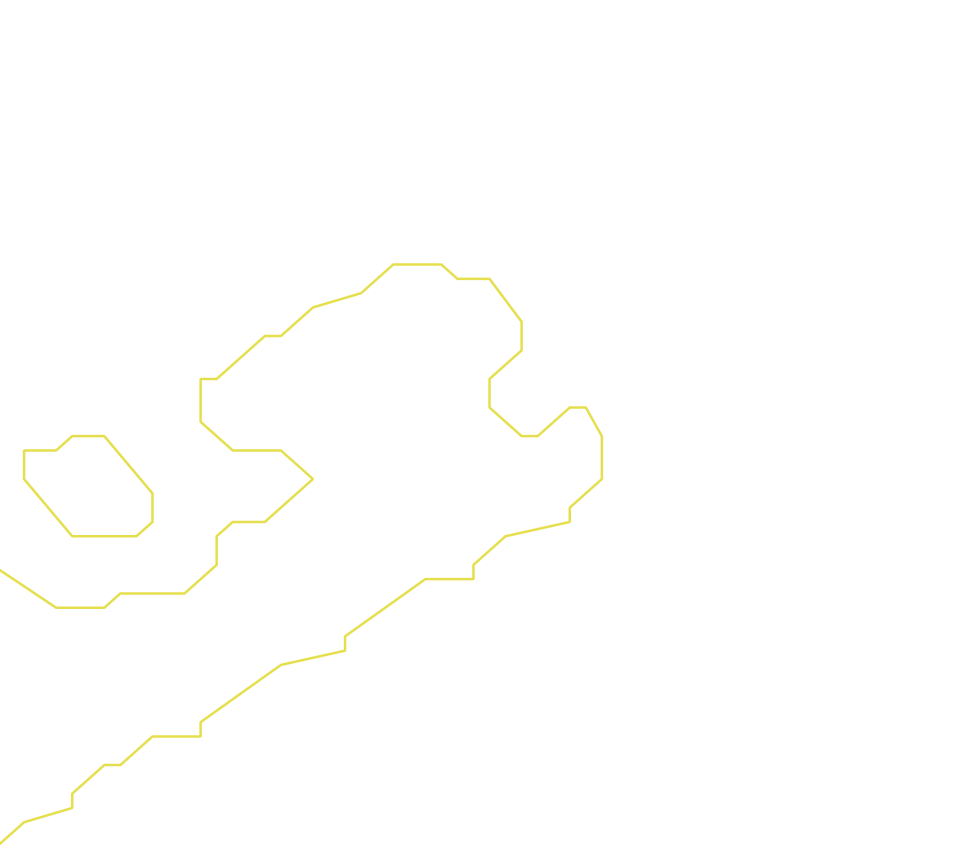 Daksegment ingezoomd met contourlijnen en structuurweergave