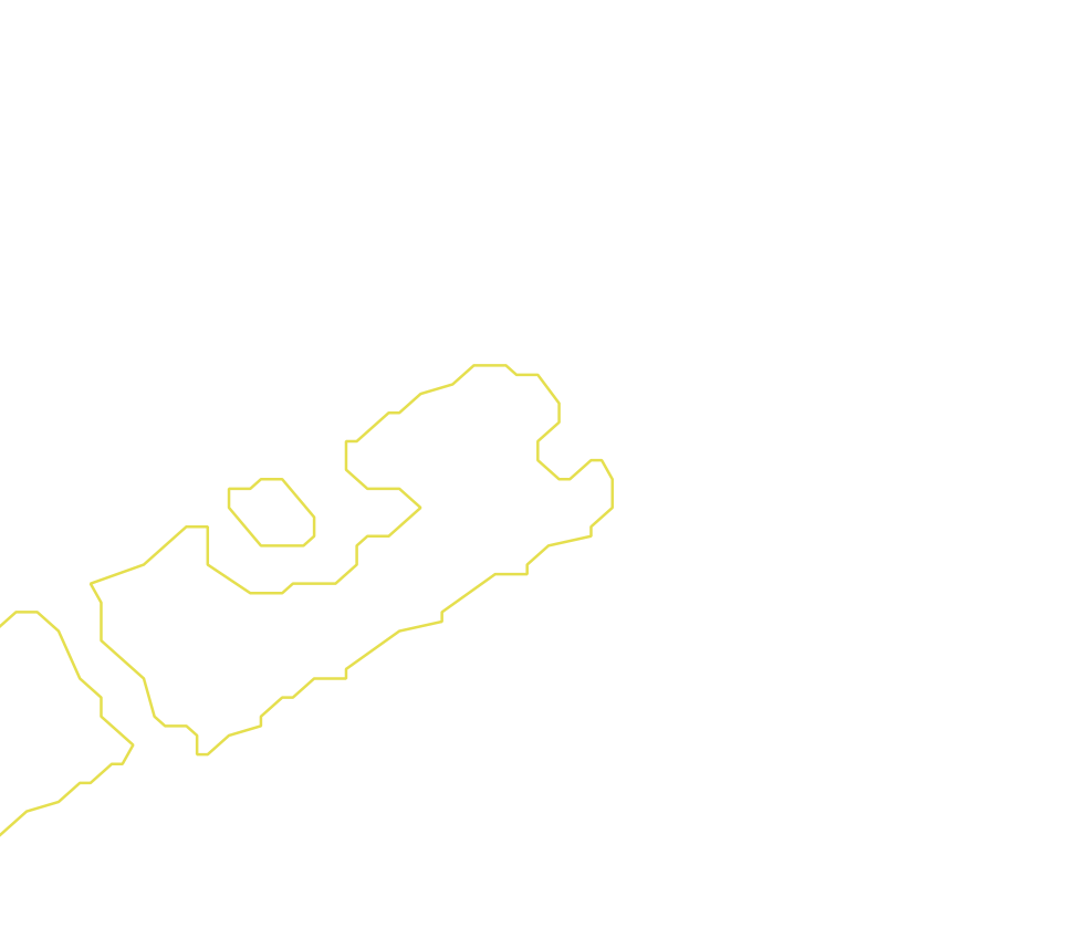 Daksegment met contourlijnen en structuurweergave