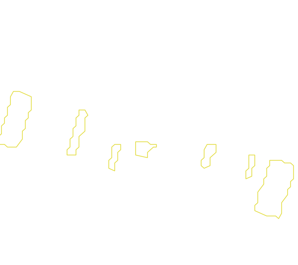 Daksegment met contourlijnen en structuurweergave