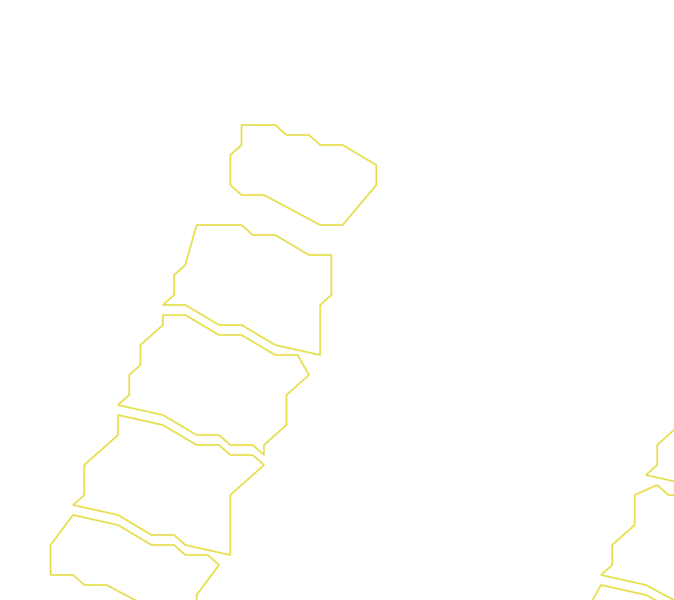 Daksegment ingezoomd met contourlijnen en structuurweergave