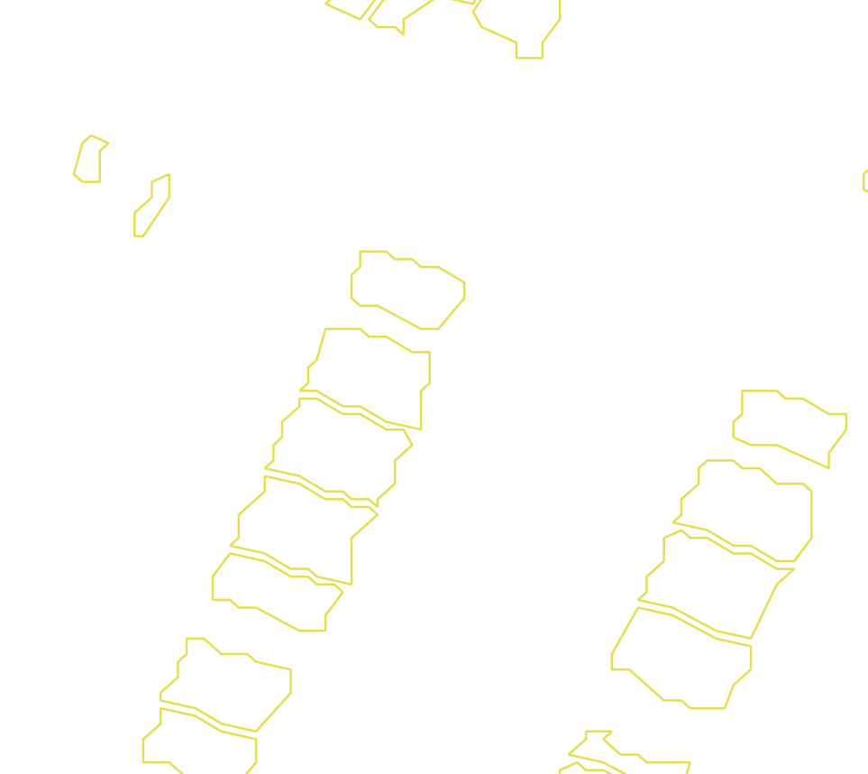 Daksegment met contourlijnen en structuurweergave