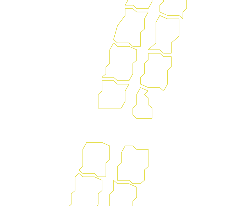 Daksegment ingezoomd met contourlijnen en structuurweergave