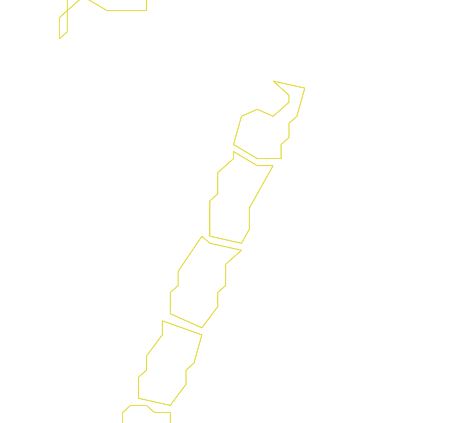 Daksegment ingezoomd met contourlijnen en structuurweergave