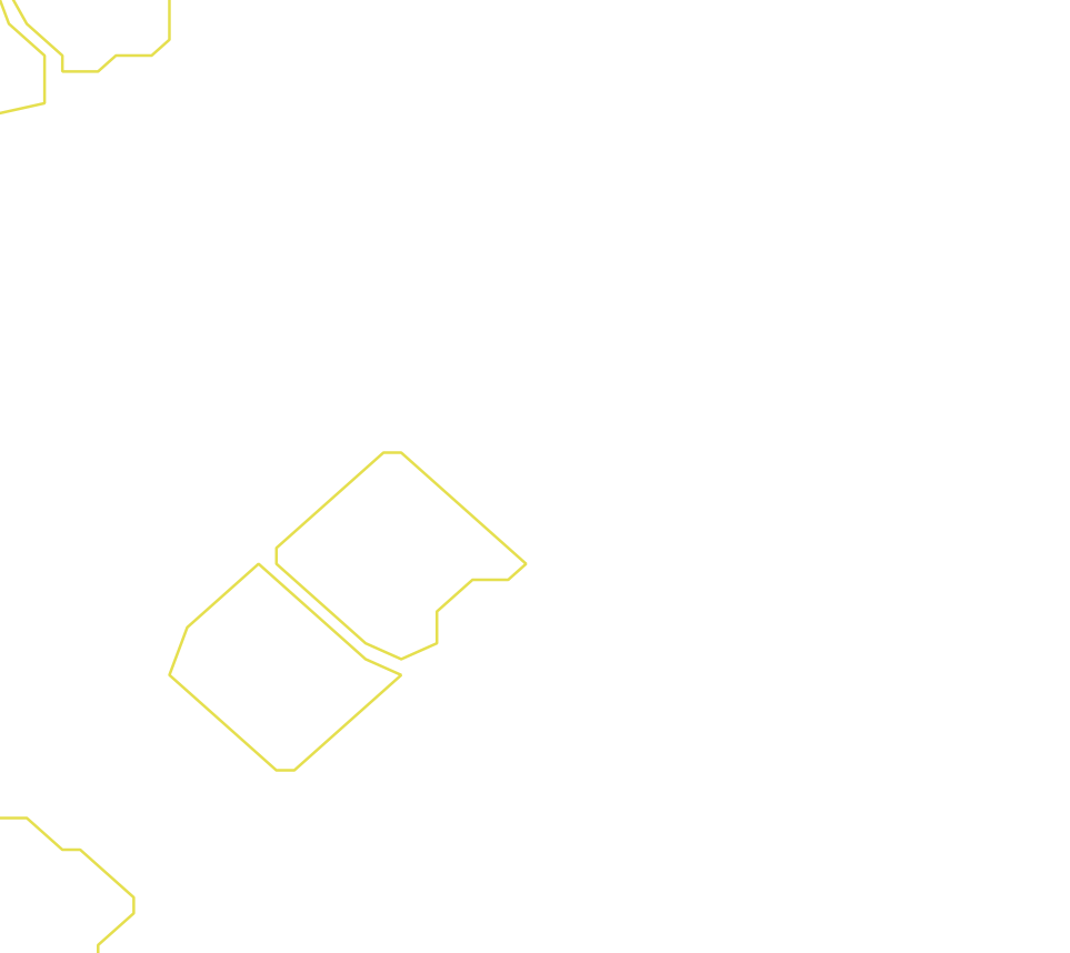 Daksegment ingezoomd met contourlijnen en structuurweergave