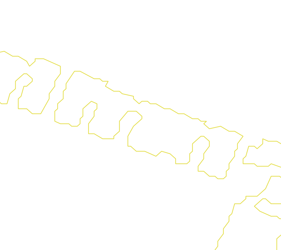 Daksegment met contourlijnen en structuurweergave