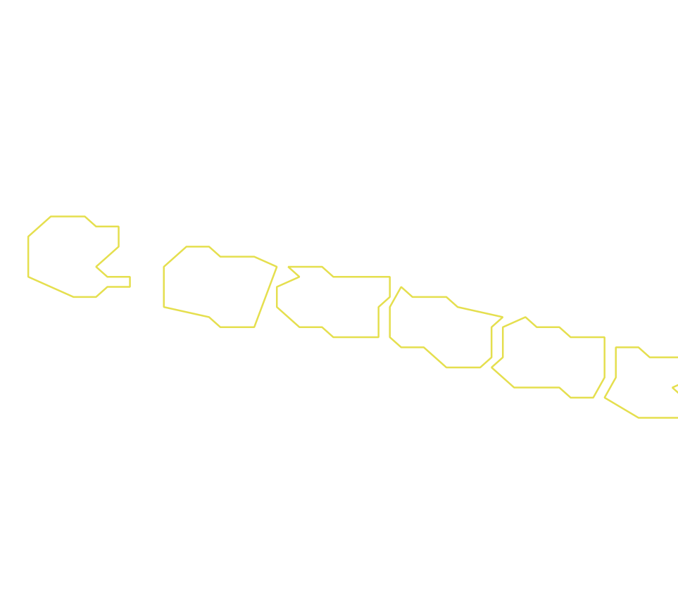Daksegment ingezoomd met contourlijnen en structuurweergave