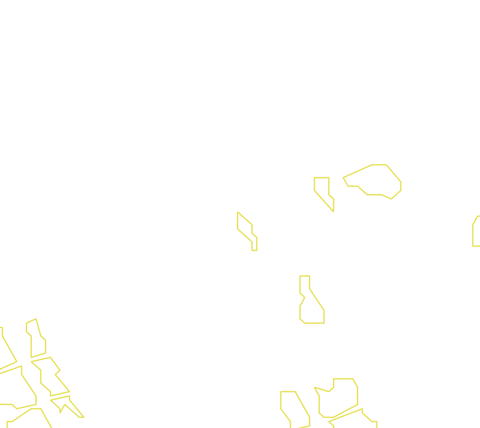 Daksegment met contourlijnen en structuurweergave