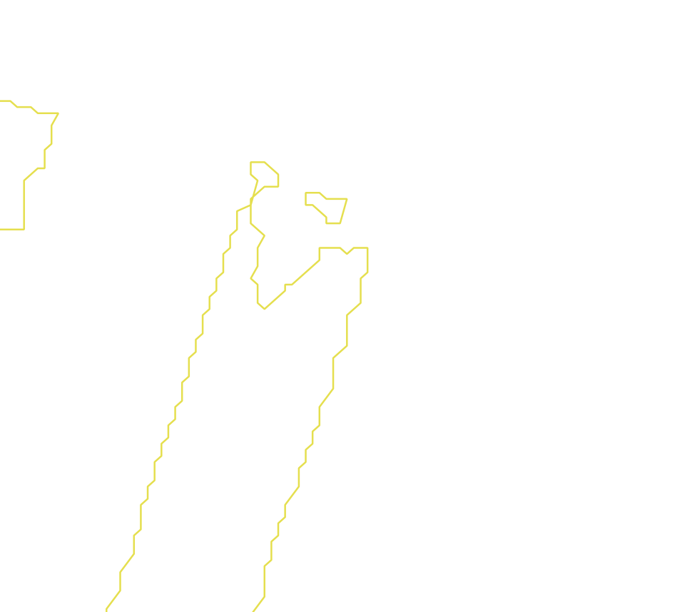 Daksegment met contourlijnen en structuurweergave