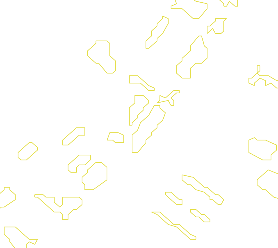 Daksegment met contourlijnen en structuurweergave