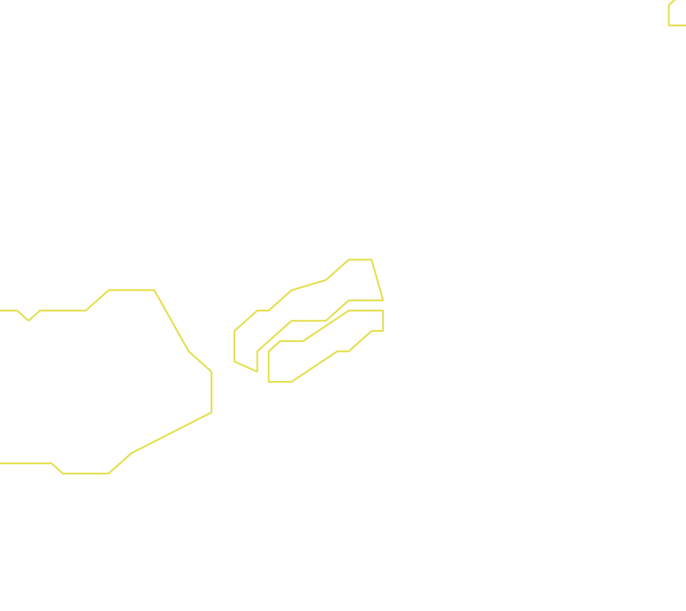 Daksegment ingezoomd met contourlijnen en structuurweergave