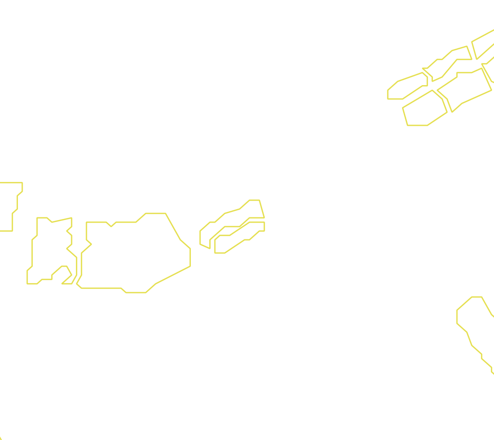 Daksegment met contourlijnen en structuurweergave