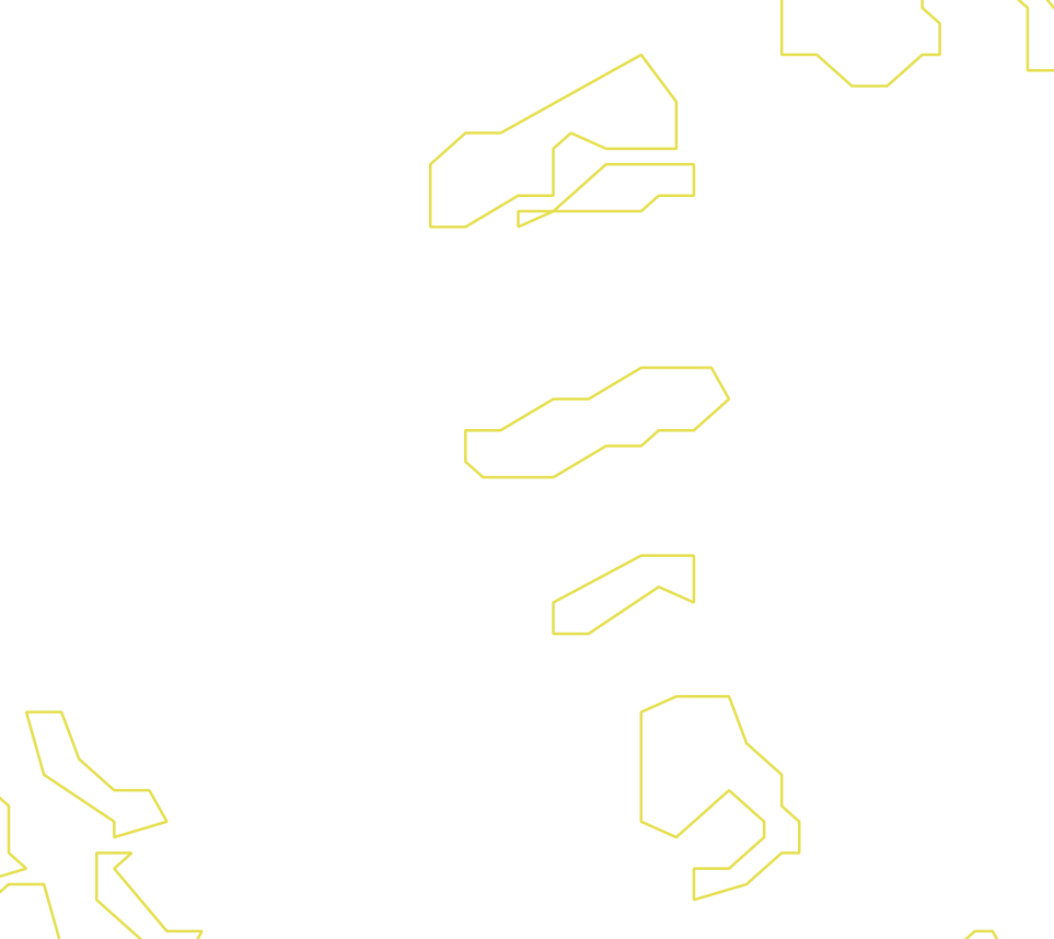 Daksegment ingezoomd met contourlijnen en structuurweergave