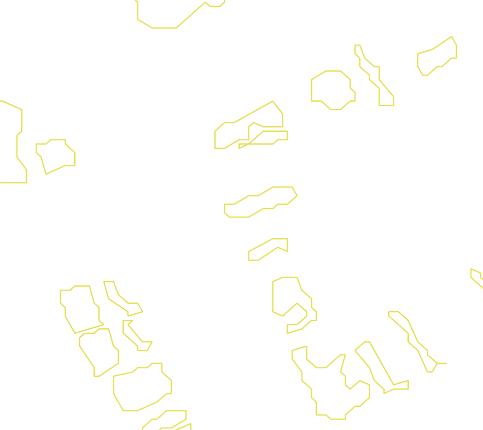 Daksegment met contourlijnen en structuurweergave