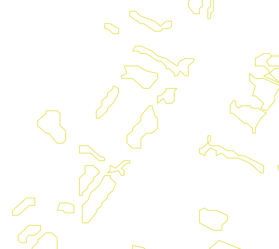 Daksegment met contourlijnen en structuurweergave