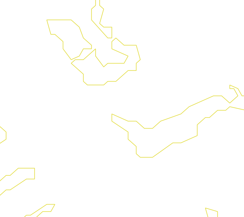 Daksegment ingezoomd met contourlijnen en structuurweergave