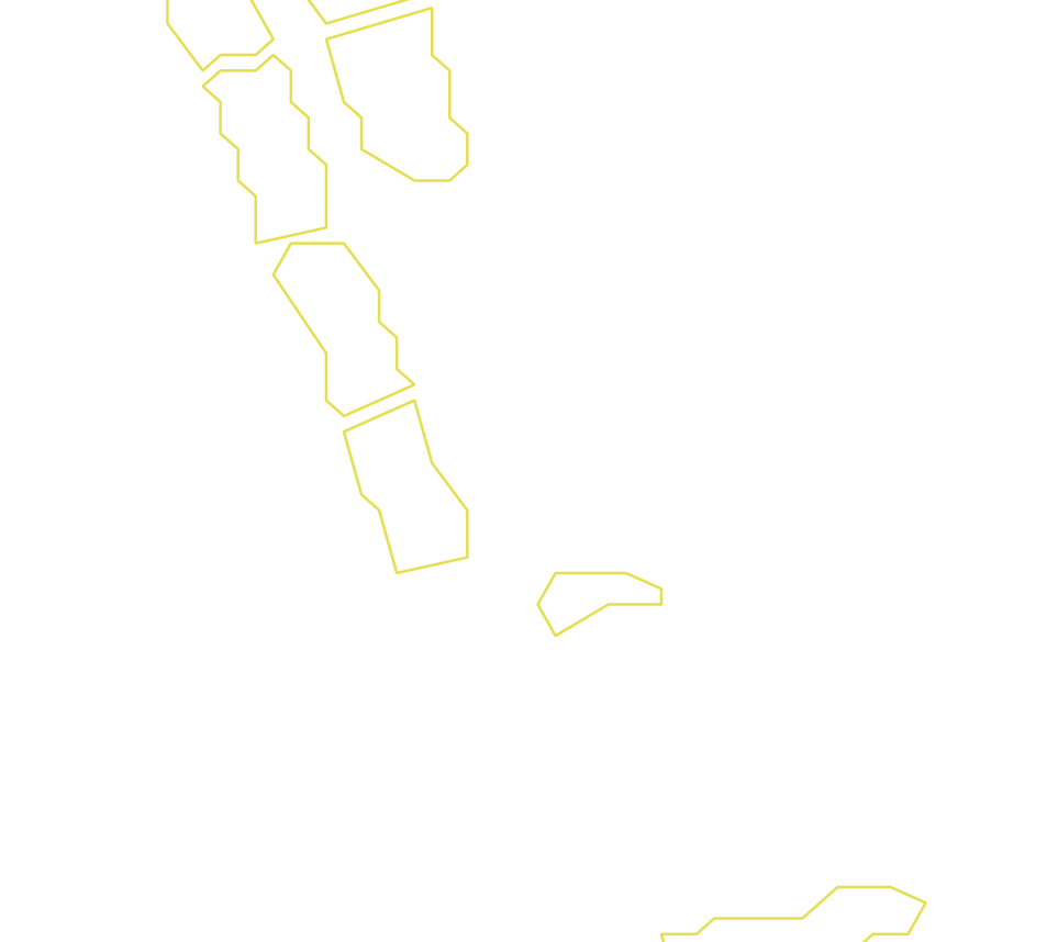 Daksegment ingezoomd met contourlijnen en structuurweergave