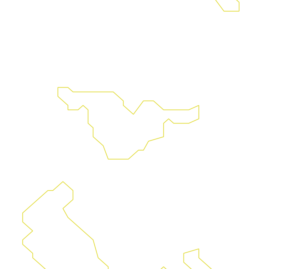 Daksegment ingezoomd met contourlijnen en structuurweergave