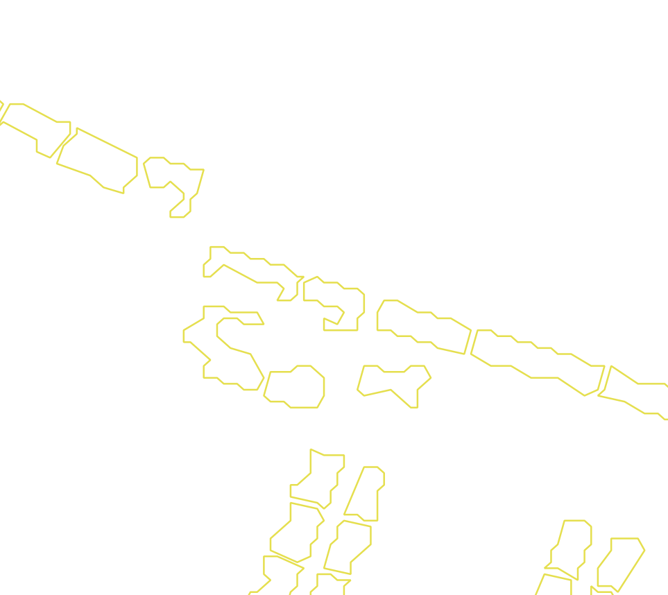 Daksegment met contourlijnen en structuurweergave