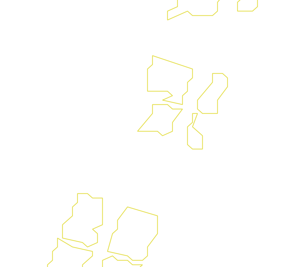 Daksegment ingezoomd met contourlijnen en structuurweergave