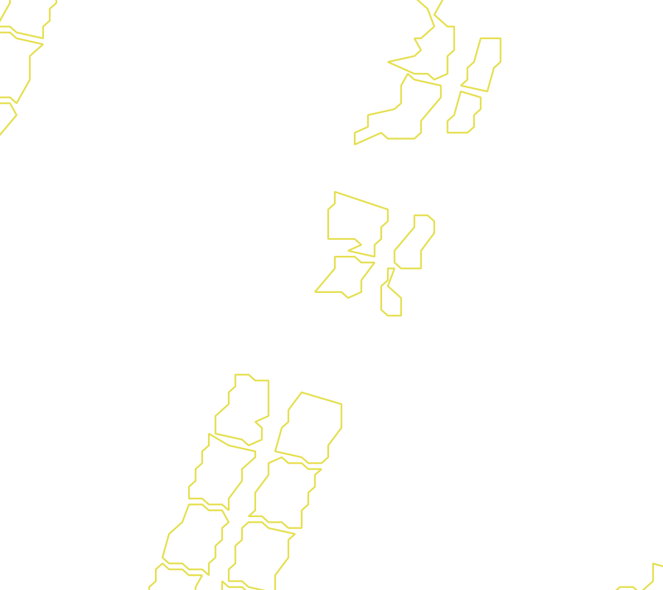 Daksegment met contourlijnen en structuurweergave