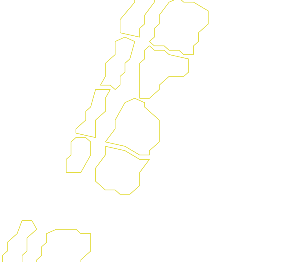 Daksegment ingezoomd met contourlijnen en structuurweergave
