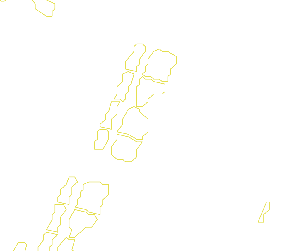 Daksegment met contourlijnen en structuurweergave