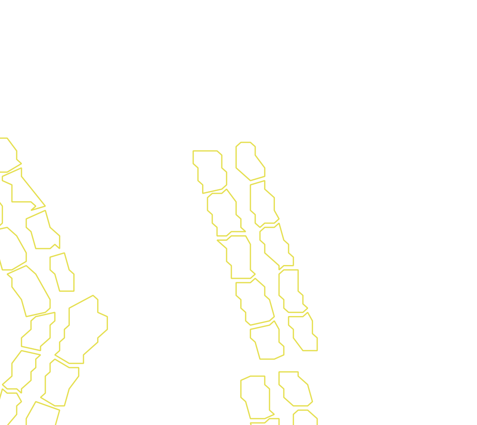 Daksegment met contourlijnen en structuurweergave