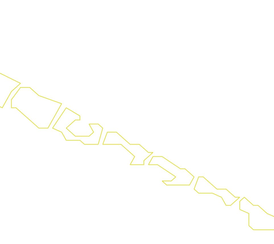 Daksegment ingezoomd met contourlijnen en structuurweergave