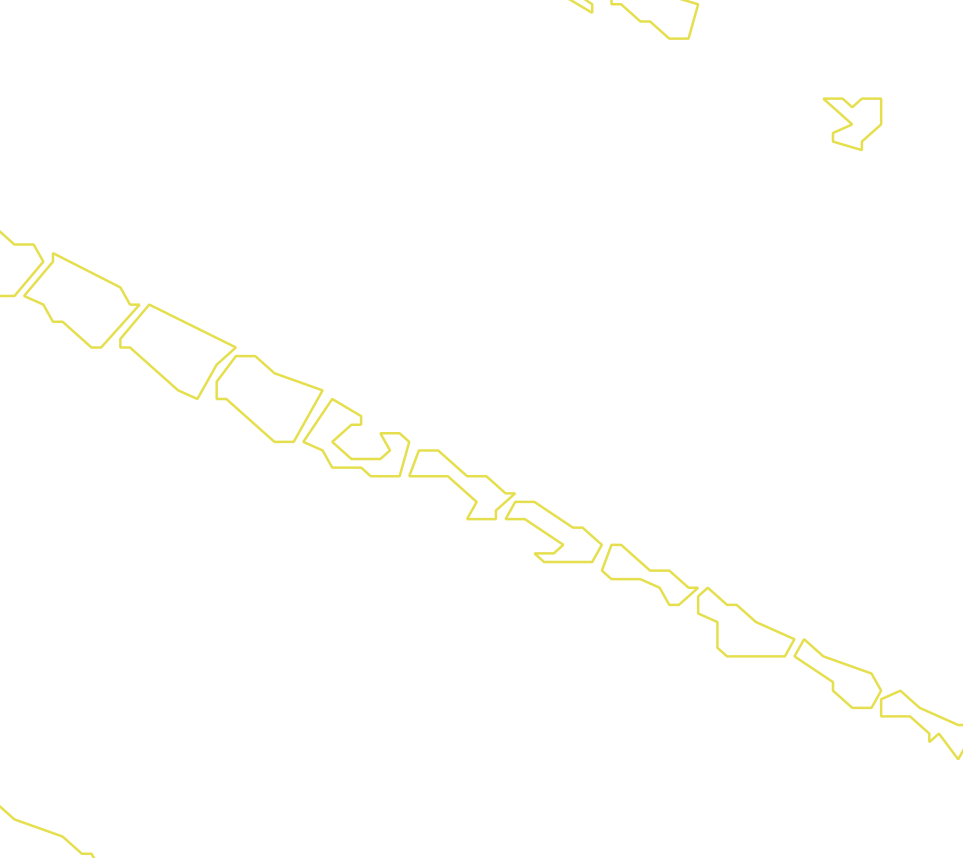 Daksegment met contourlijnen en structuurweergave