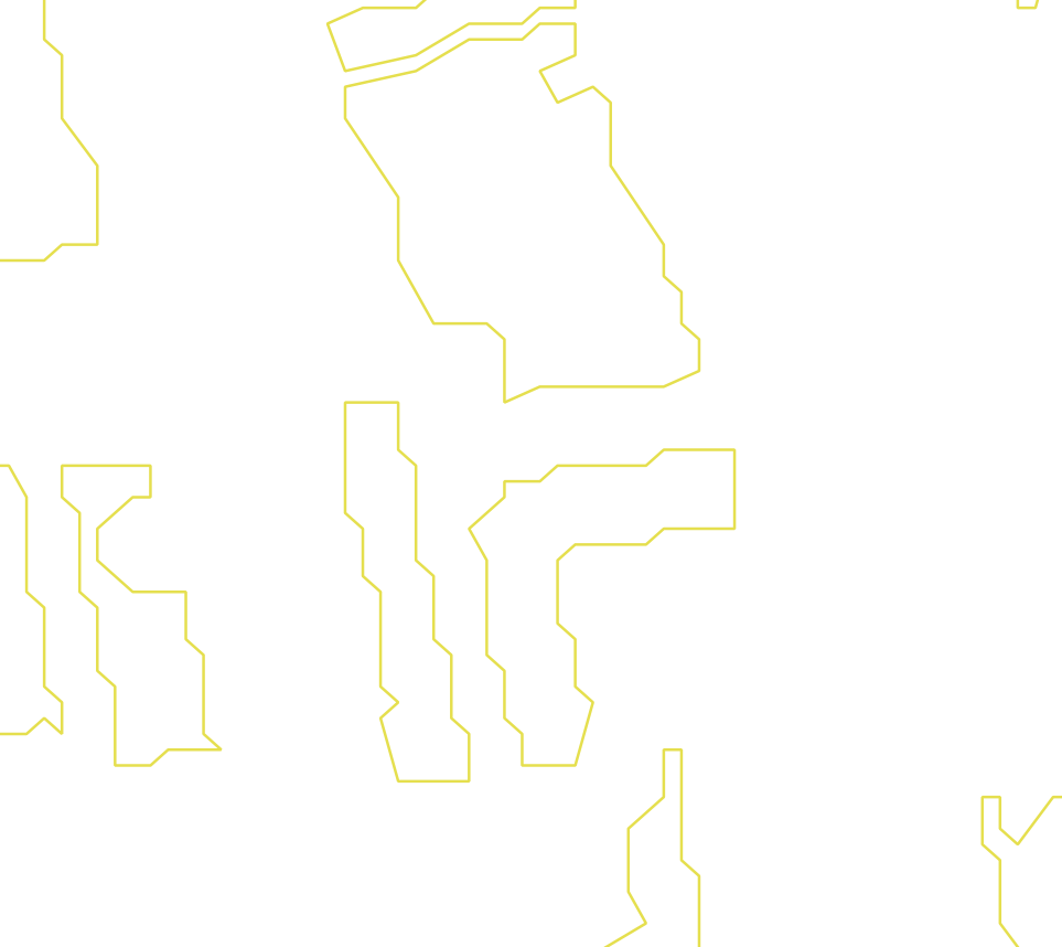 Daksegment ingezoomd met contourlijnen en structuurweergave