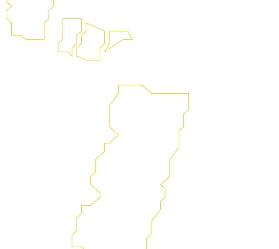 Daksegment ingezoomd met contourlijnen en structuurweergave