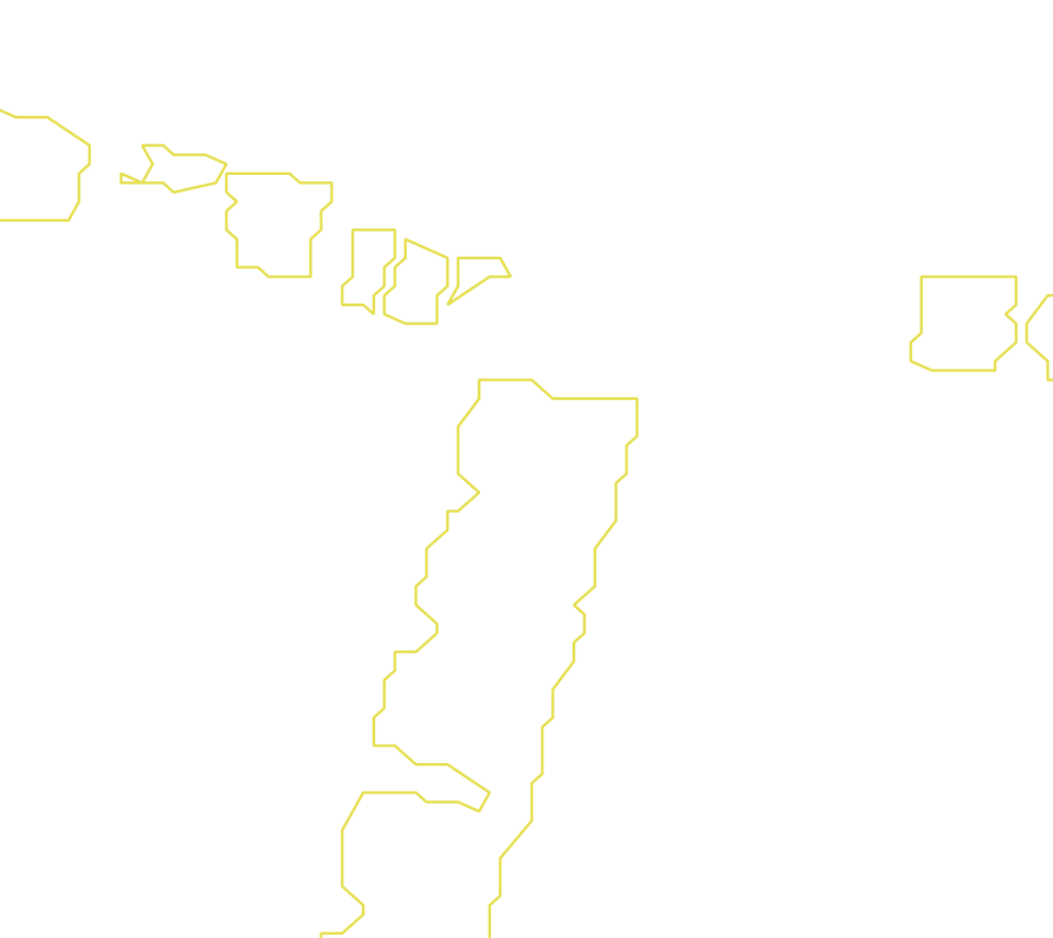 Daksegment met contourlijnen en structuurweergave