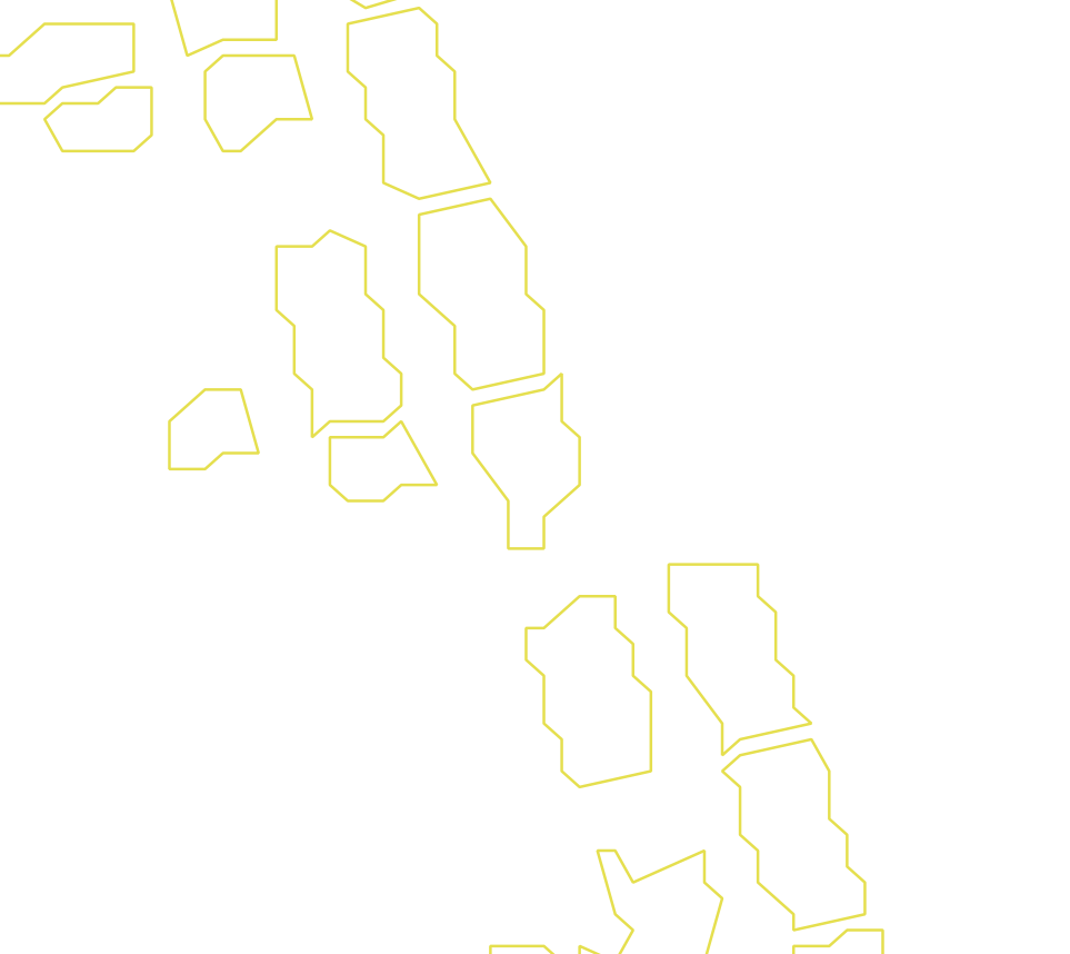 Daksegment ingezoomd met contourlijnen en structuurweergave