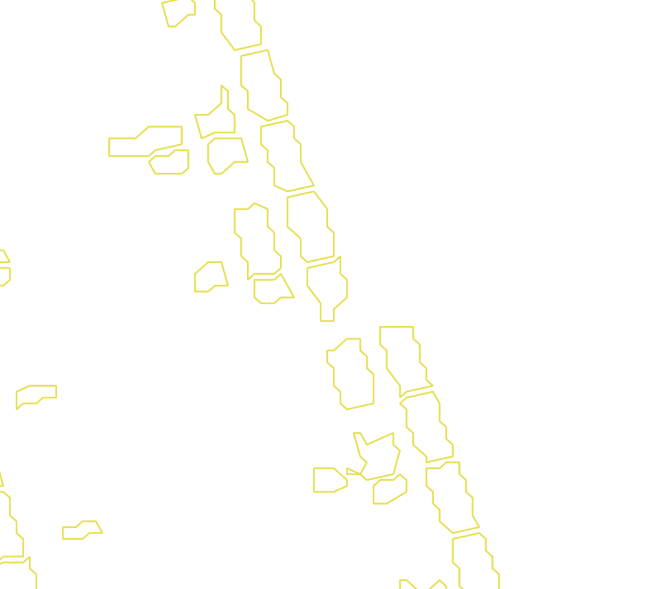 Daksegment met contourlijnen en structuurweergave