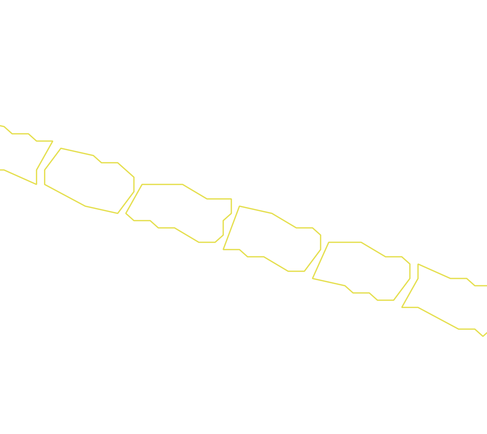 Daksegment ingezoomd met contourlijnen en structuurweergave