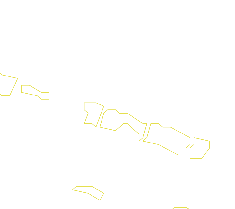 Daksegment ingezoomd met contourlijnen en structuurweergave