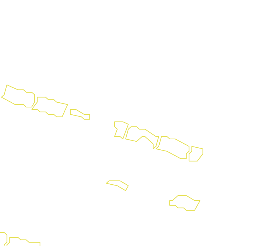 Daksegment met contourlijnen en structuurweergave