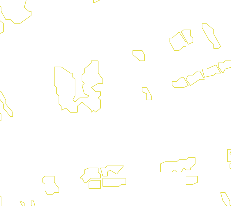 Daksegment met contourlijnen en structuurweergave