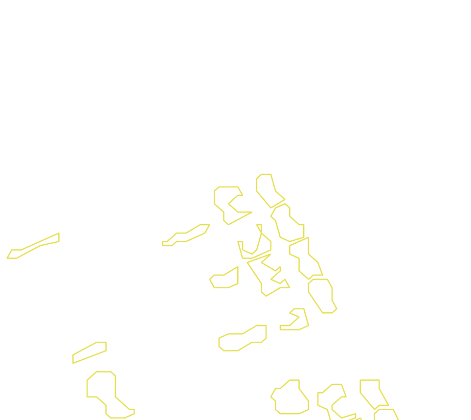Daksegment met contourlijnen en structuurweergave