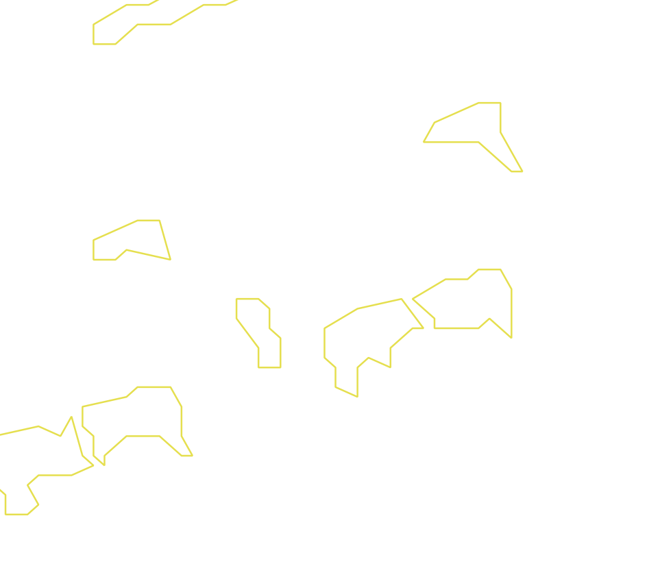 Daksegment ingezoomd met contourlijnen en structuurweergave