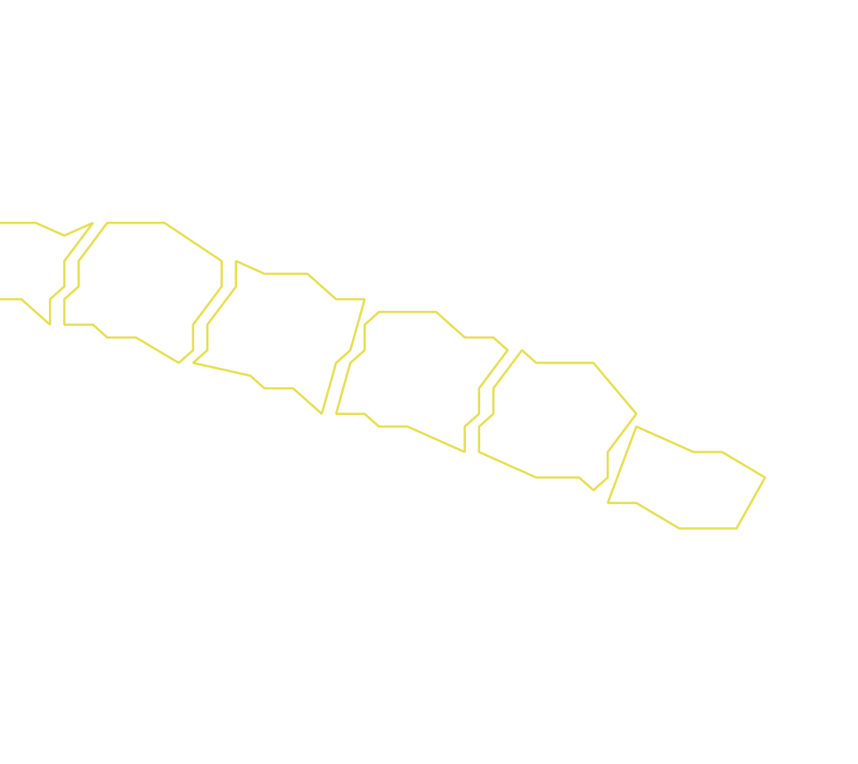 Daksegment ingezoomd met contourlijnen en structuurweergave