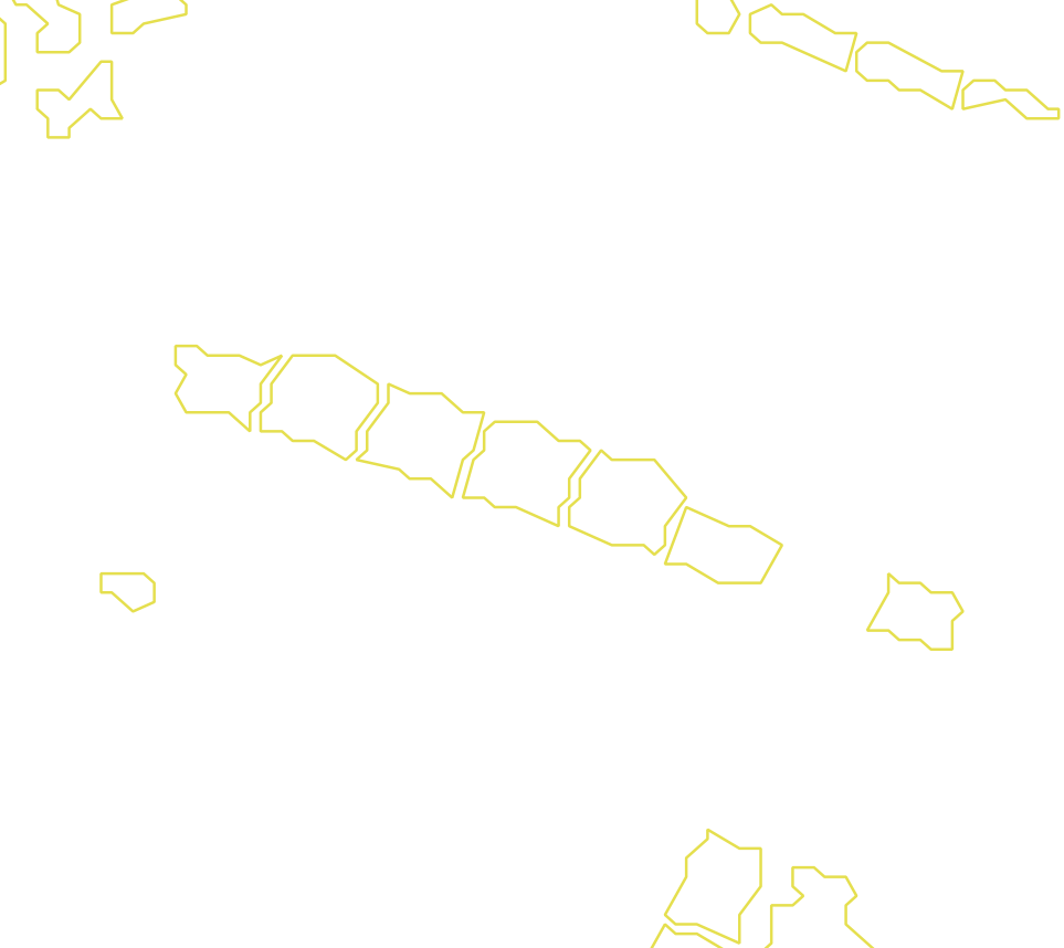 Daksegment met contourlijnen en structuurweergave