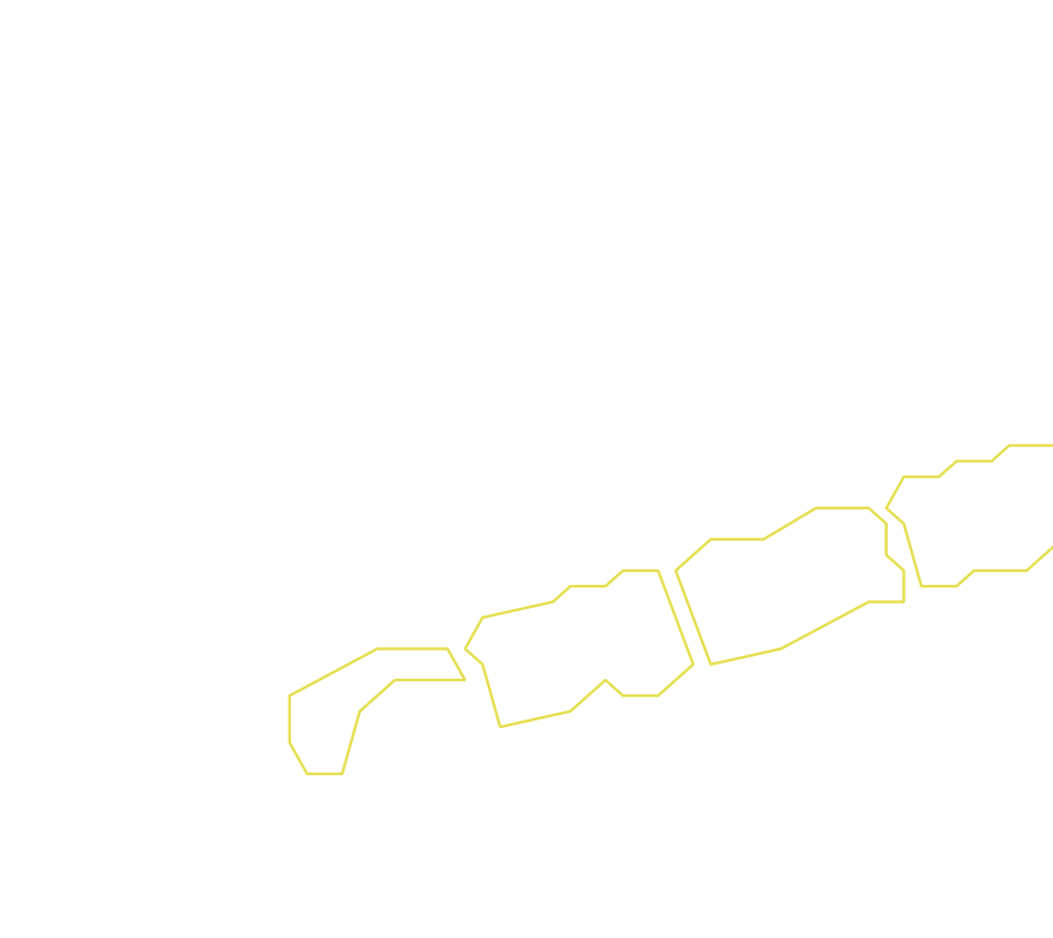 Daksegment ingezoomd met contourlijnen en structuurweergave
